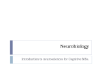 Neurobiology