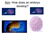 PowerPoint 113 Embryonic Development revised