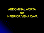 kumc 40 abdominal aorta and ivc student