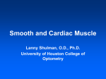 Smooth and Cardiac Muscle - University of Houston College of