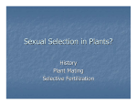 Sexual Selection in Plants?