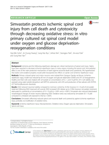 Simvastatin protects ischemic spinal cord injury from cell death and