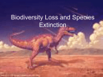 biodiversity_loss_and_species_extinction