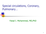 Control of blood tissue blood flow