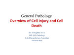 General Pathology Overview of Cell Injury and Cell Death