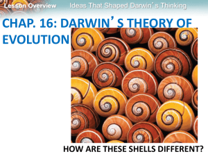 Darwin`s Theory of Evolution Powerpoint presentation