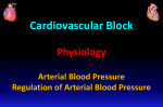 11. and 12. Arterial Blood Pressure _ Its Regulation - 2016