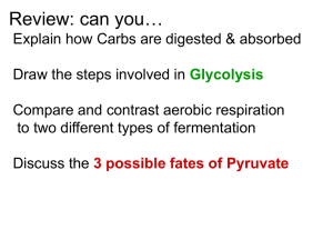All 3 fates of pyruvate from glycolysis provide for the regeneration of