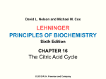 Lehninger Principles of Biochemistry