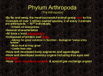 Phylum Arthropoda - Biology Junction