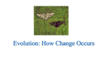 Evolution: How Change Occurs