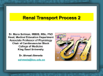 6-Renal transport Process2016-04-24 09:402.6 MB