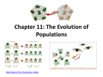 Ch. 11 Evolution and Population