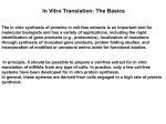 IN VITRO TRANSCRIPTION . TRANSLATION - UTH e