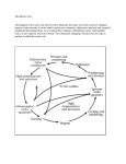 The Rock Cycle