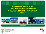Non consumptive use of marine species