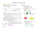 Modern Taxonomy