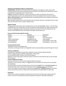 Absorption of breakdown products in small intestine Carbohydrates