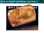 The Fossil Record and Geologic Time Scale