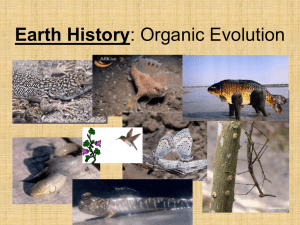 Earth History: Organic Evolution