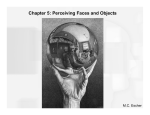 Chapter 5: Perceiving Faces and Objects