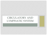 Circulatory and Lymphatic System
