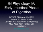 GI Physiology IV: Early Intestinal Phase of