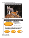 THE EVOLUTION OF POPULATIONS THE EVOLUTION OF