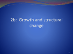 Growth and structural change