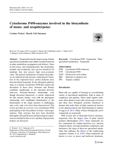 Cytochrome P450-enzymes involved in the biosynthesis of mono