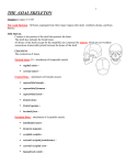 Notes on Axial Skeleton STUDENT Version