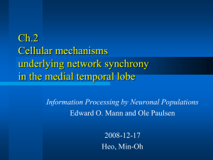 Cellular mechanisms underlying network synchrony in the medial