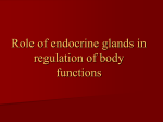 15 Role of endocrine glands in regulation of body functions