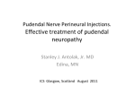 Pudendal nerve perineural injections