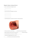 digestive-system-quiz-spr-2016