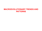 Lecture 20 Macroevolution