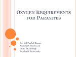 Oxygen-Requirement
