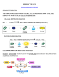 cellular-respiration-notes-2016