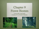 Chapter 9 Forest Biomes