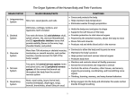 The Organ Systems of the Human Body and Their - Samut