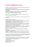 bsaa chick embryology worksheet