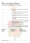 Match Parts of the Digestive System