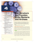 Cell Structure and Function in the Bacteria and Archaea