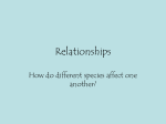 Relationships - Campbell County Schools