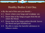 Healthy Bodies. The Lungs and Breathing.