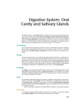 Digestive System: Oral Cavity and Salivary Glands