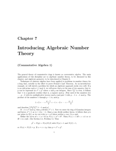 Introducing Algebraic Number Theory