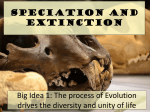 Speciation and Extinction