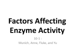 Factors Affecting Enzyme Activity