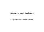 Bacteria and Archaea